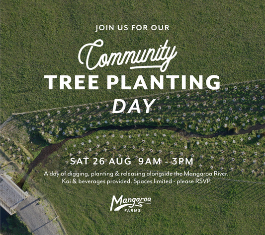 Mangaroa Farms Community Tree Planting Day 🌳🌿