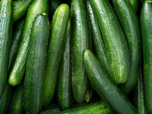 Mangaroa Cucumbers