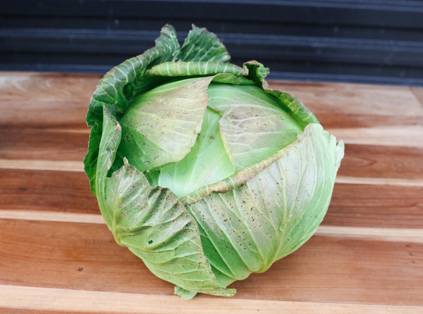 Cabbage (green)